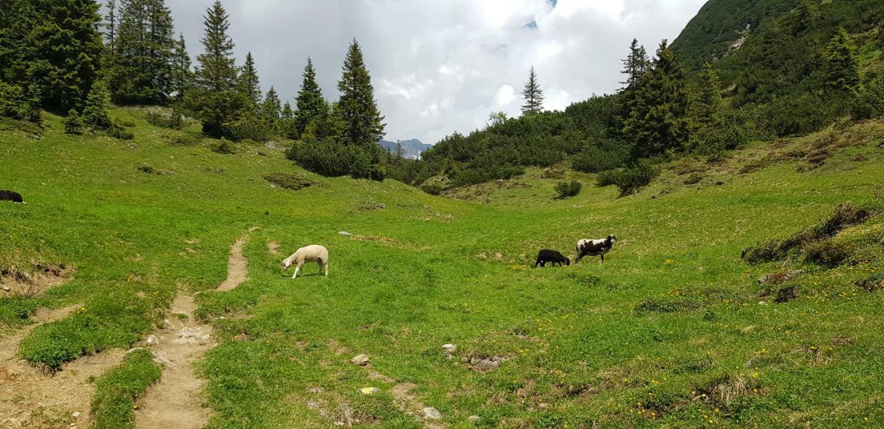 Lechleiten Residenz Tirol 아파트 외부 사진
